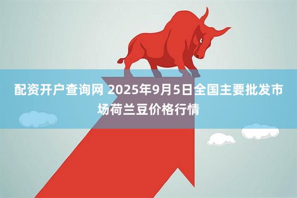 配资开户查询网 2025年9月5日全国主要批发市场荷兰豆价格行情