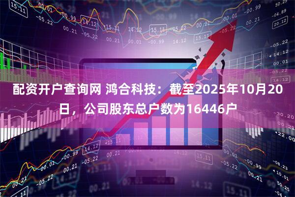 配资开户查询网 鸿合科技：截至2025年10月20日，公司股东总户数为16446户