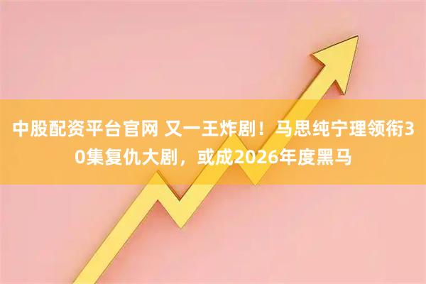 中股配资平台官网 又一王炸剧！马思纯宁理领衔30集复仇大剧，或成2026年度黑马